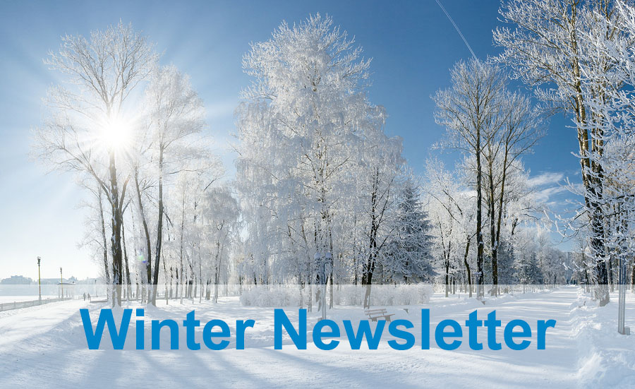 Winter Newsletter Icon